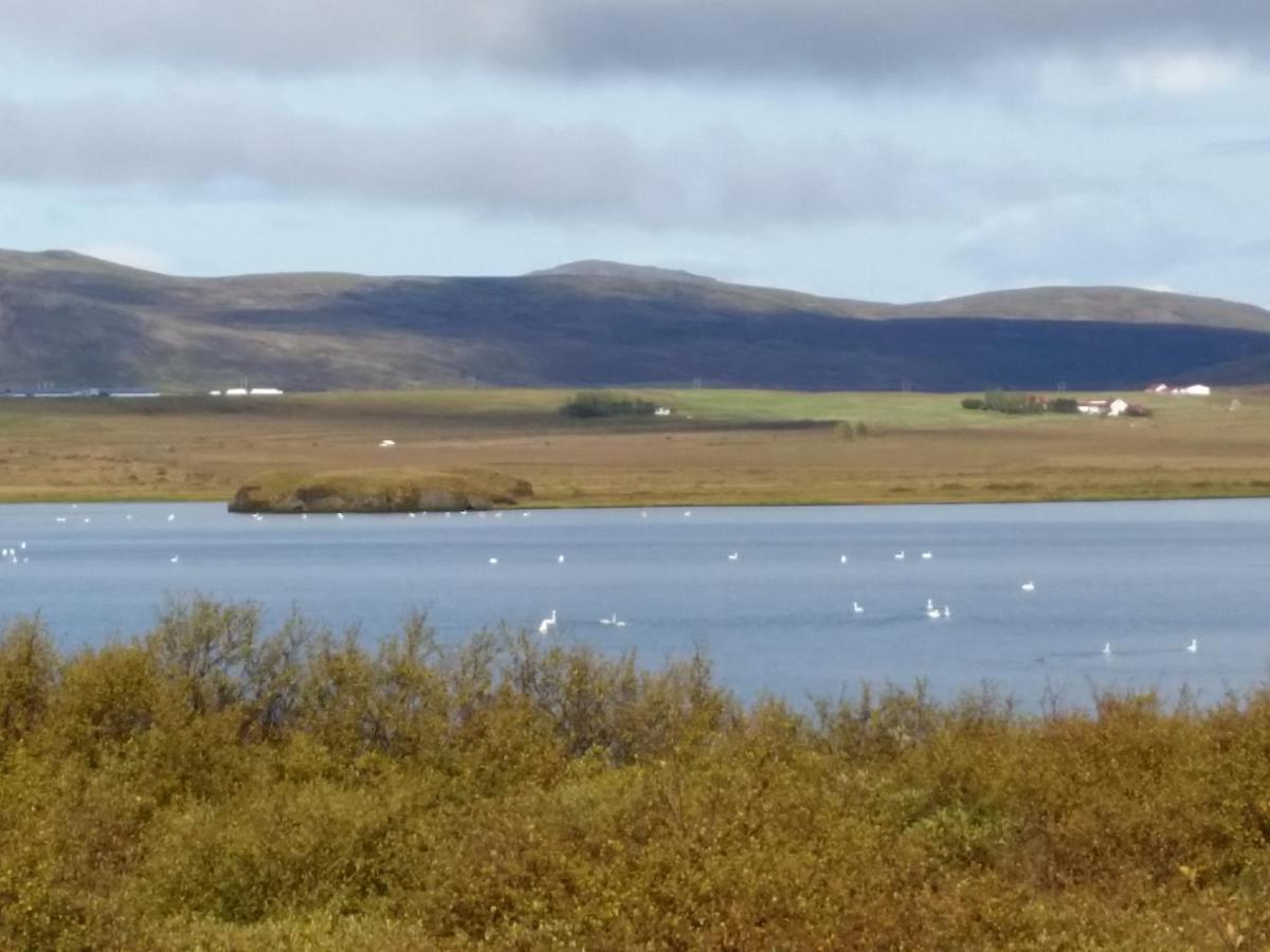 Cosy Cottage In Golden Circle Near Thingvellir Vaolaekir Exterior foto